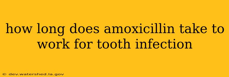 how long does amoxicillin take to work for tooth infection
