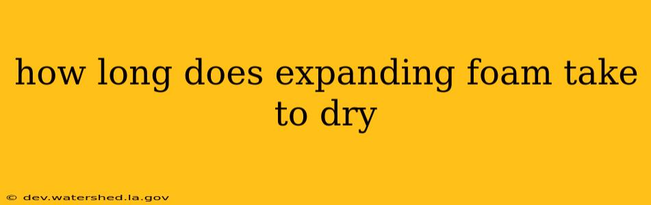 how long does expanding foam take to dry