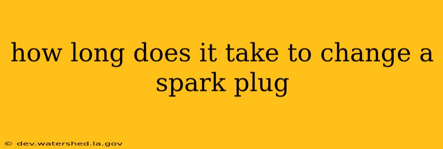 how long does it take to change a spark plug