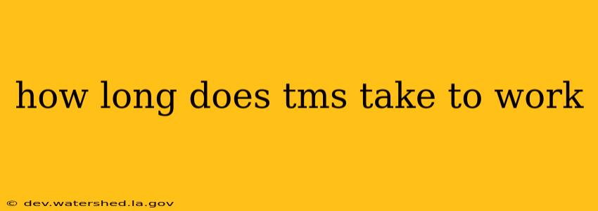 how long does tms take to work