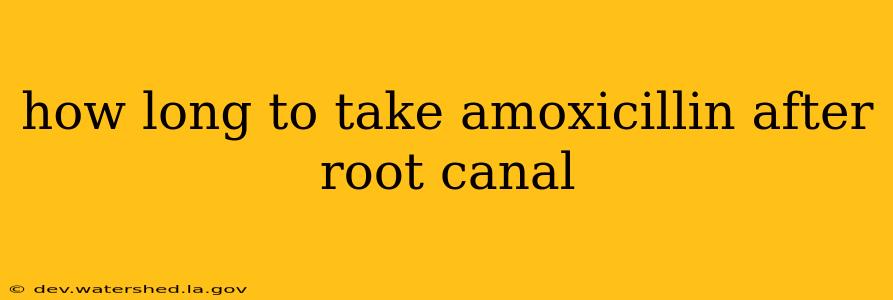 how long to take amoxicillin after root canal