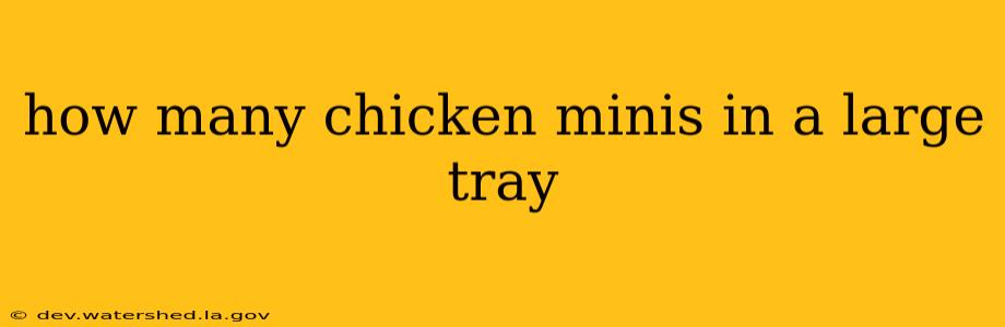 how many chicken minis in a large tray
