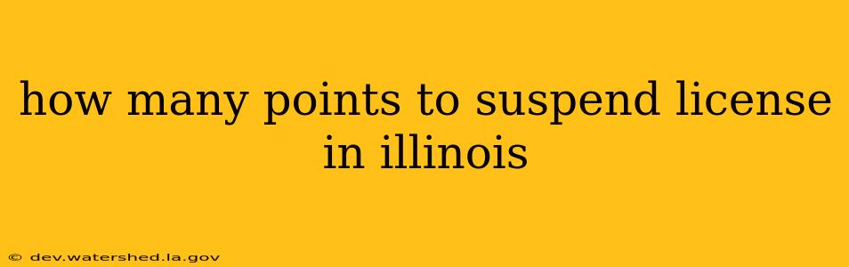 how many points to suspend license in illinois