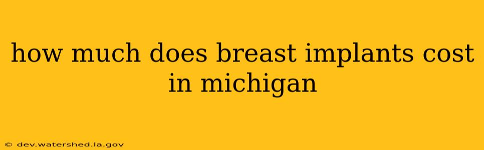 how much does breast implants cost in michigan