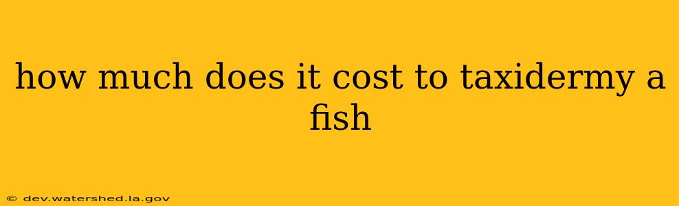 how much does it cost to taxidermy a fish
