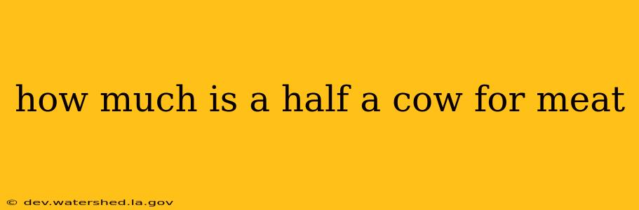 how much is a half a cow for meat