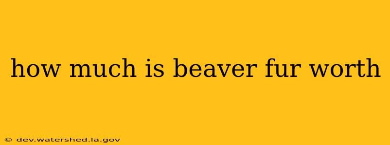 how much is beaver fur worth