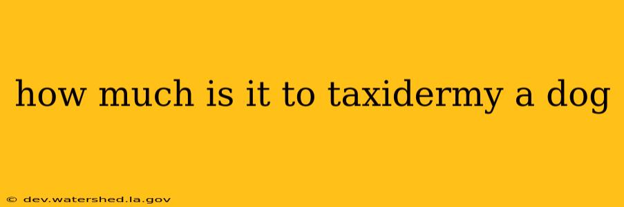 how much is it to taxidermy a dog
