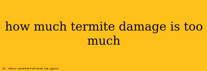 how much termite damage is too much
