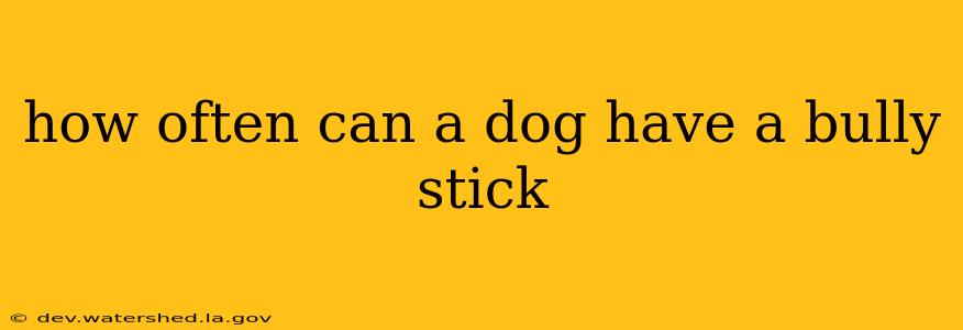 how often can a dog have a bully stick