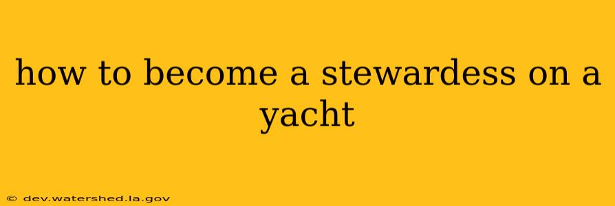 how to become a stewardess on a yacht