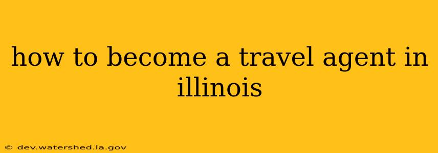 how to become a travel agent in illinois