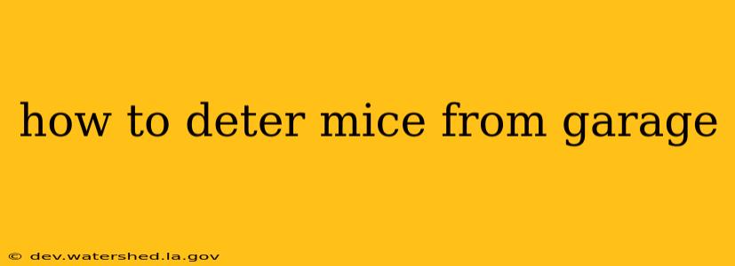how to deter mice from garage