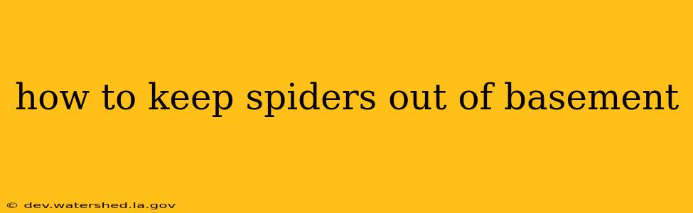 how to keep spiders out of basement