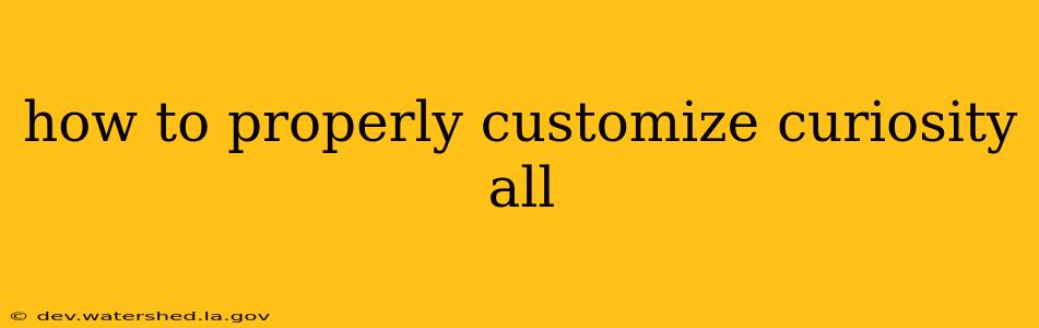 how to properly customize curiosity all