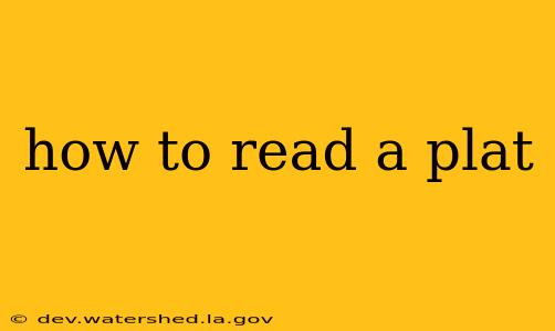 how to read a plat