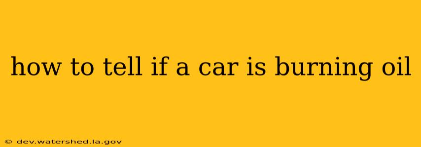 how to tell if a car is burning oil