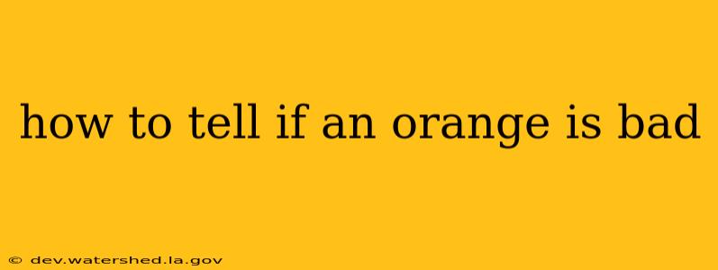 how to tell if an orange is bad