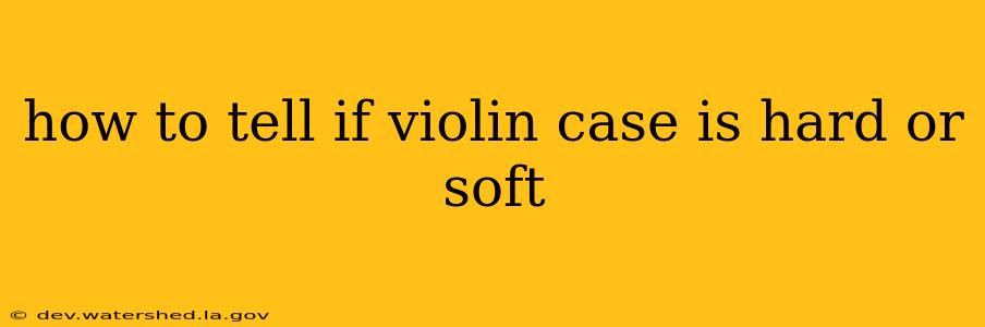how to tell if violin case is hard or soft