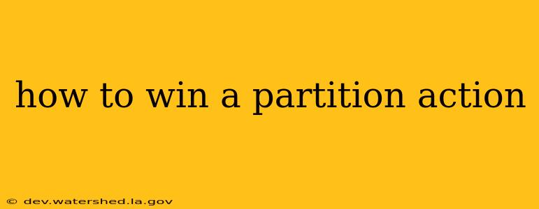 how to win a partition action