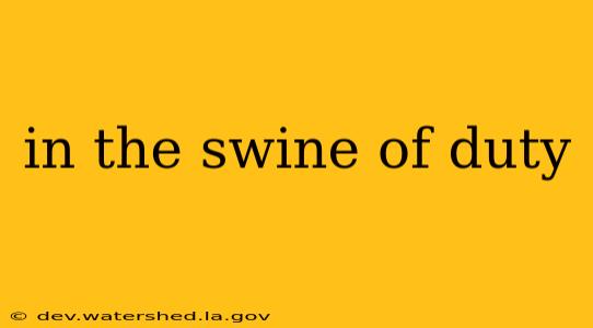 in the swine of duty