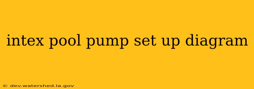 intex pool pump set up diagram