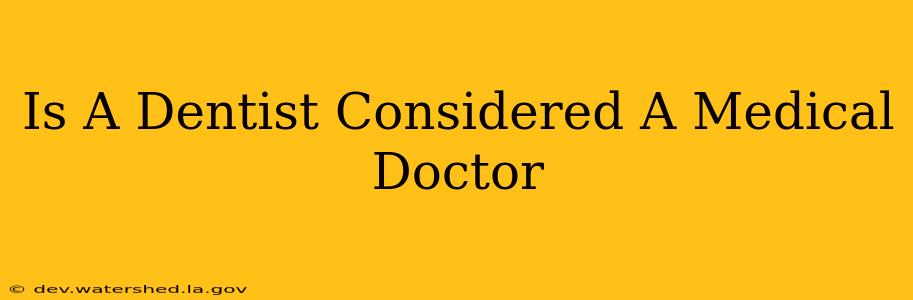is a dentist considered a medical doctor