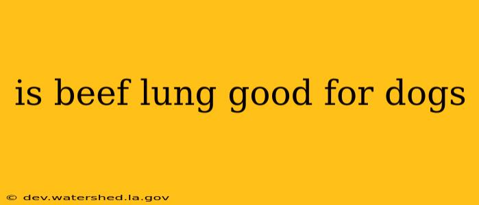 is beef lung good for dogs