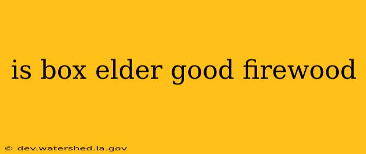 is box elder good firewood