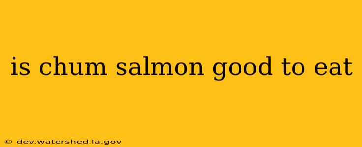 is chum salmon good to eat