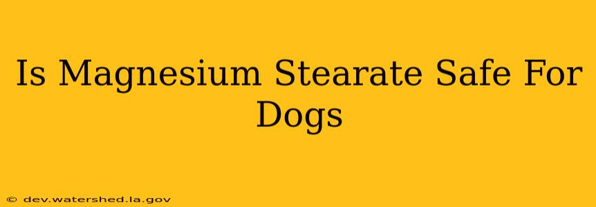 is magnesium stearate safe for dogs