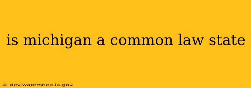 is michigan a common law state
