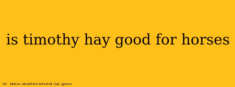is timothy hay good for horses