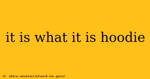 it is what it is hoodie