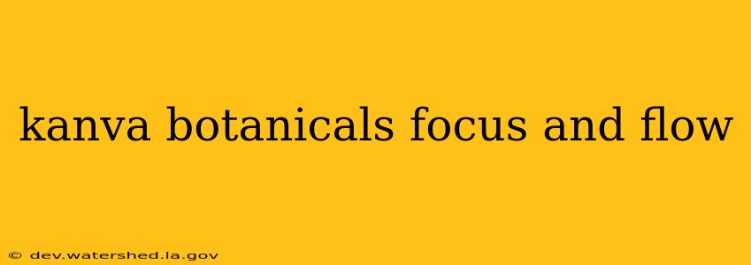 kanva botanicals focus and flow