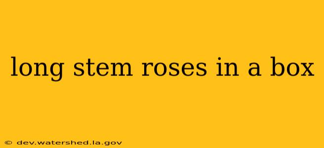 long stem roses in a box