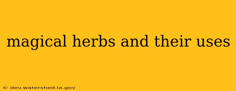 magical herbs and their uses