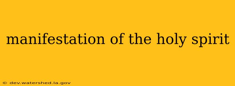 manifestation of the holy spirit