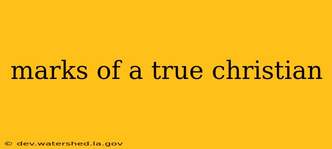 marks of a true christian