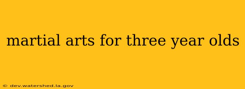 martial arts for three year olds
