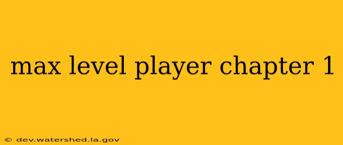 max level player chapter 1