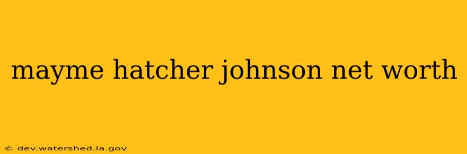 mayme hatcher johnson net worth