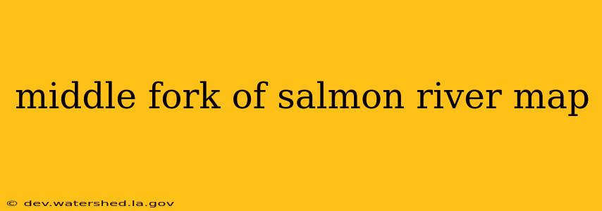 middle fork of salmon river map