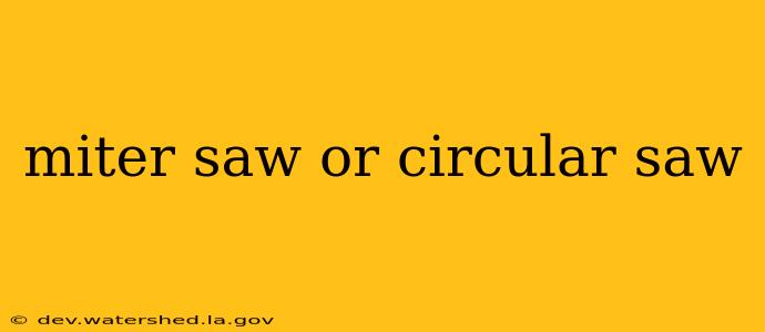 miter saw or circular saw