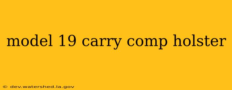 model 19 carry comp holster