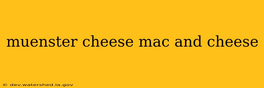 muenster cheese mac and cheese