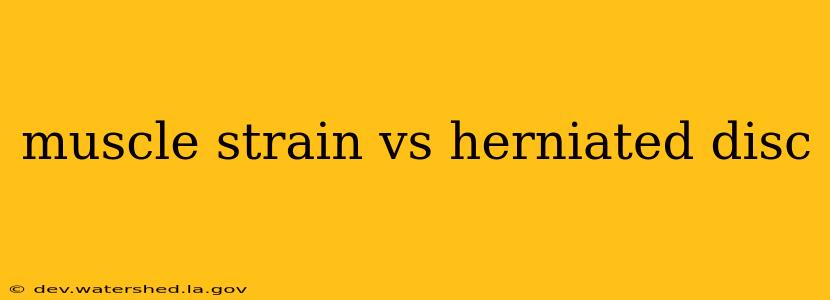 muscle strain vs herniated disc