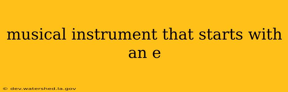 musical instrument that starts with an e