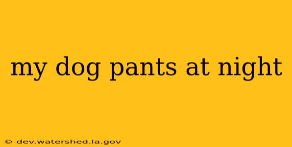 my dog pants at night