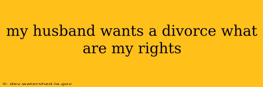 my husband wants a divorce what are my rights